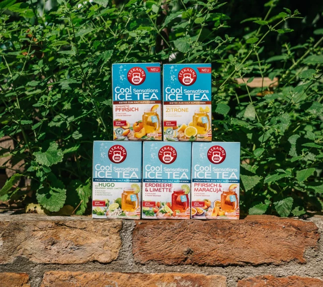 Sechs Teekanne Cool Sensations Ice Tea-Boxen, verschiedene Geschmacksrichtungen, im Freien mit grünen Pflanzen gestapelt.