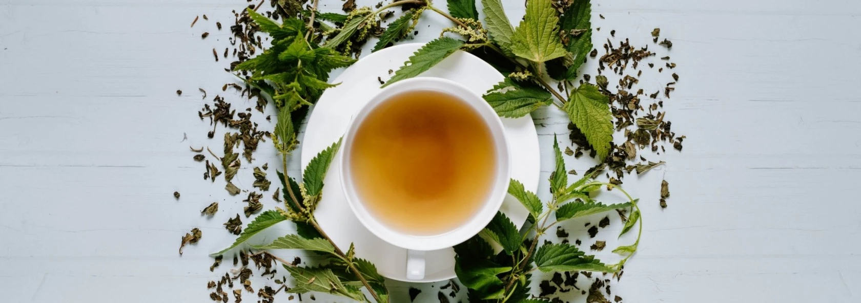 Weiße Tasse Tee auf Untertasse, mit frischen grünen Blättern und losem Tee auf heller Oberfläche.