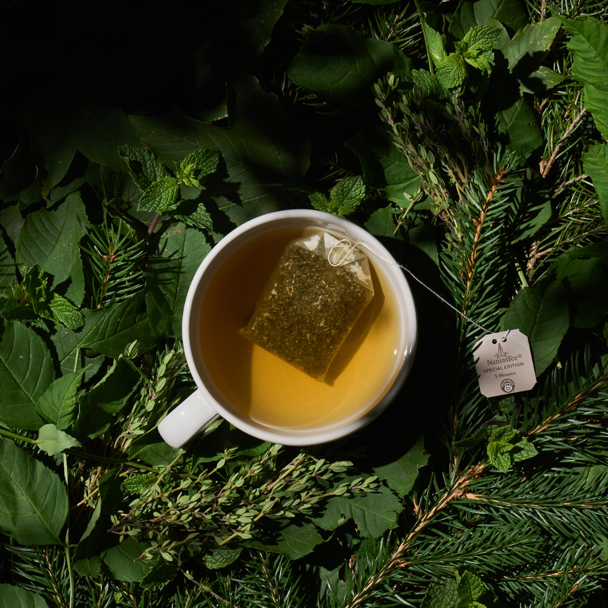 Eine Tasse NamasTee BIO® Waldbaden mit Teebeutel steht auf einem Bett aus verschiedenen grünen Blättern und Zweigen und bildet so eine natürliche, erdige Kulisse. Das NamasTee-Etikett befindet sich neben der Tasse.