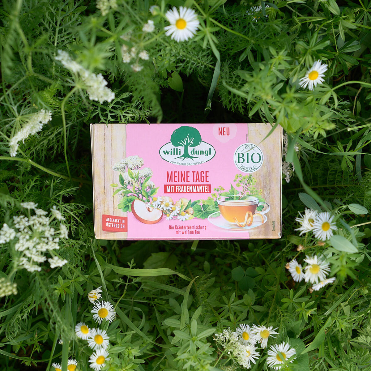 Zwischen grünen Blättern und weißen Wildblumen steht eine Schachtel Willi Dungl Meine Tage BIO Bio-Kräutertee. Die rosa-grüne Verpackung zeigt florale Motive und eine Teetasse mit der Aufschrift "Meine Tage mit Frauenmantel".
