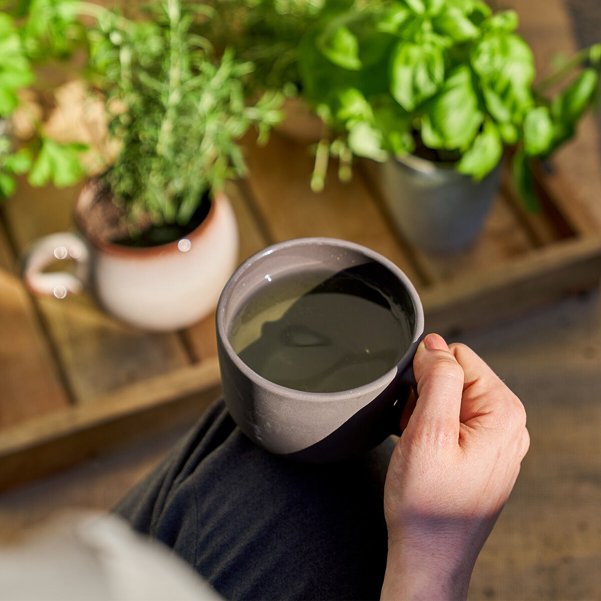 Eine Person hält eine Tasse BIO-Brennnessel mit Zitronengras in der Hand, sitzt neben einem Holztablett mit eingetopftem Basilikum und Rosmarin und genießt den Genuss naturbelassenen Kräutern im hellen natürlichen Sonnenlicht.