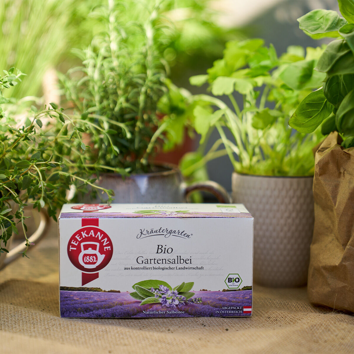 Eine Schachtel BIO-Gartensalbei-Tee steht auf einem Tisch, umgeben von frischen grünen Kräutern und Pflanzen, während im Hintergrund Sonnenlicht durch den Garten fällt.