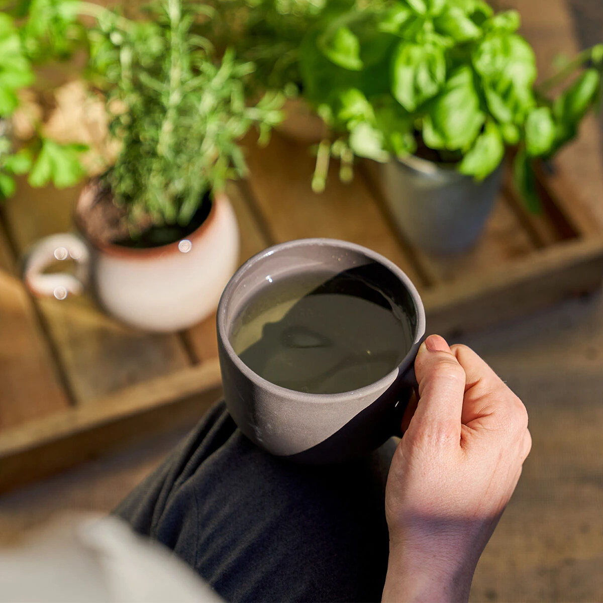 Eine Person genießt eine graue Tasse BIO-Pfefferminze-Tee, während sie im Sonnenlicht neben einem Holztablett mit grünen Kräutern in Töpfen sitzt.