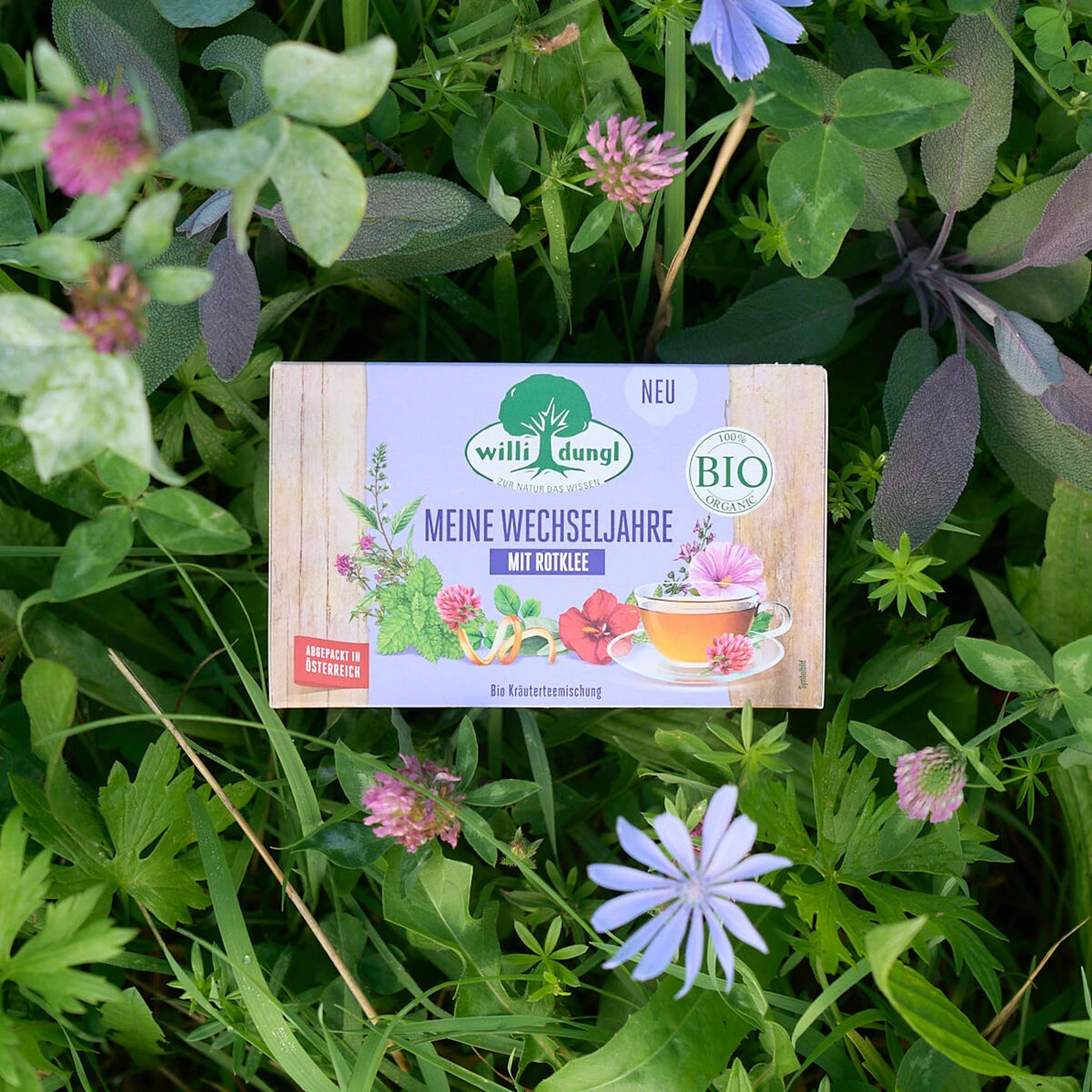 Eine Schachtel Meine Wechseljahre BIO-Tee liegt auf grünem Gras zwischen Wildblumen und Blättern und unterstreicht die natürliche Mischung, die speziell für Frauen in den Wechseljahren entwickelt wurde.