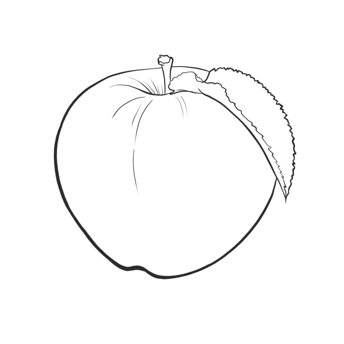 Äpfel