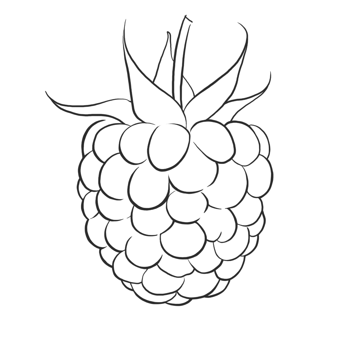 Himbeeren