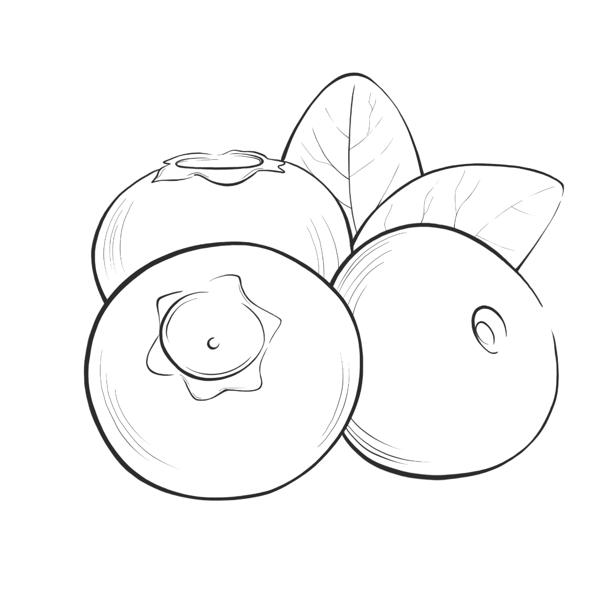 Heidelbeeren