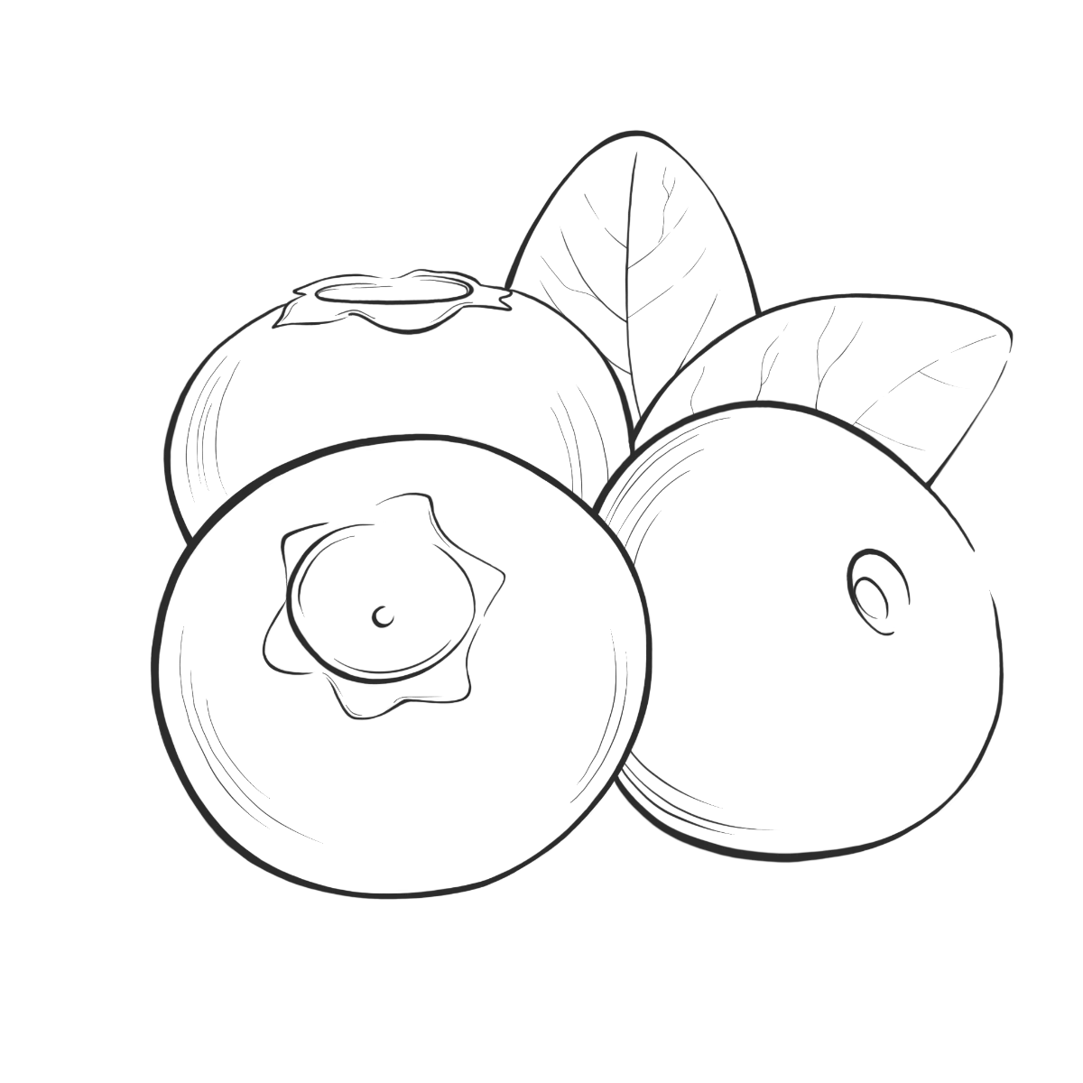 Heidelbeeren